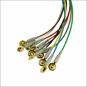 CNSAC Gold Cup Electrodes, set van 10 stuks